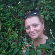 ���������� ������, ���� ������� Olga, 55 ���, ������������ 