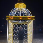 ���������� ���������, ���� ������� Irina, 46 ���, ������������ ��� ������, ����� � ���������, c�������� ���������