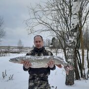 ���������� �������, ���� ������� ������, 43 ����, ������������ ��� ������, ����� � ���������