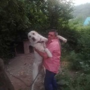  ,   , 50 ,   ,   