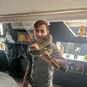 ���������� �����-���������, ���� ������� �����, 31 ���, ������������ ��� ������, ����� � ���������, c�������� ���������