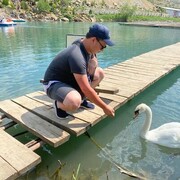 ���������� ������, ���� ������� �����, 35 ���, ������������ ��� ������, ����� � ���������, c�������� ���������