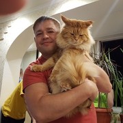 ���������� ���������� �����, ���� ������� Pasha, 40 ���, ������������ ��� ������