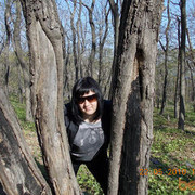 ���������� �����������, ���� ������� ������, 41 ���, ������������ ��� ������, ���������