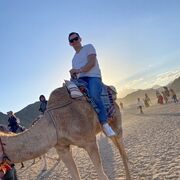 ���������� �����-���������, ���� ������� ������, 31 ���, ������������ ��� ������, ����� � ���������