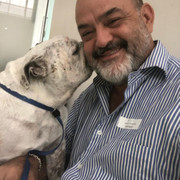 ���������� ������, ���� ������� David, 63 ����, ������������ 