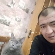 ���������� ������, ���� ������� ���, 46 ���, ������������ ��� ������, ����� � ���������