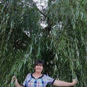  ,   Elena, 63 ,     , c 