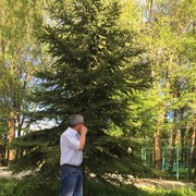  ,    , 62 ,   ,   , c 