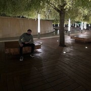  ,    , 36 ,     