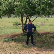  -,   , 44 ,   ,   