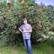 ���������� ������, ���� ������� �����, 60 ���, ������������ ��� ����� � ���������, c�������� ���������