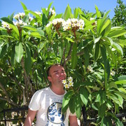  ,   , 49 ,   ,   , c 