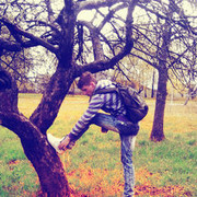 ���������� ������, ���� ������� ����, 33 ����, ������������ ��� ����� � ���������, c�������� ���������