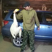  ,   , 35 ,   ,   , c 