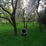  -,   , 29 ,   ,   , c 