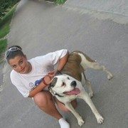 ���������� ����, ���� ������� ��������, 31 ���, ������������ ��� ������, ����� � ���������, c�������� ���������