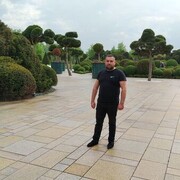  ,   , 41 ,   ,   
