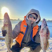 ���������� ��������, ���� ������� ������, 50 ���, ������������ ��� ������, ����� � ���������