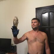 ���������� ������, ���� ������� ����, 39 ���, ������������ ��� ����� � ���������, c�������� ���������