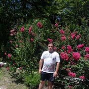 ���������� ������-��-����, ���� ������� �����, 33 ����, ������������ ��� ������, ����� � ���������