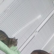  ,   , 34 ,   ,   