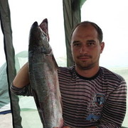  -,   Sakh, 42 ,   , 
