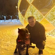 ���������� ������, ���� ������� ����������, 38 ���, ������������ ��� ������, ����� � ���������