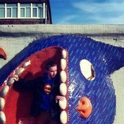 ���������� ����, ���� ������� ������, 37 ���, ������������ ��� ������, ���������