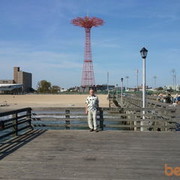  New Berlin,   , 67 ,   ,   , c 