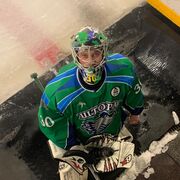 ���������� ���������, ���� ������� �������, 42 ����, ������������ ��� ������, ����� � ���������, c�������� ���������, ���������