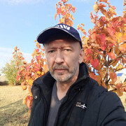 ���������� ������, ������� �������, 50