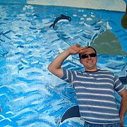 ���������� �����������, ���� ������� ����, 48 ���, ������������ ��� ������, ����� � ���������, c�������� ���������