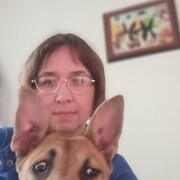  -,   , 52 ,   ,   