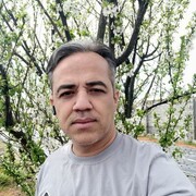 ���������� �������, ���� ������� Alireza, 47 ���, ������������ ��� ������, ����� � ���������