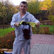 ���������� ������������, ���� ������� �������, 47 ���, ������������ ��� ����� � ���������, c�������� ���������