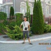 ���������� ��������������, ���� ������� �����84, 41 ���, ������������ ��� ������, ����� � ���������, c�������� ���������, ���������