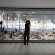 ���������� ������, ���� ������� ������, 49 ���, ������������ 