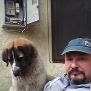  ,   , 56 ,   
