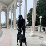 ���������� ����, ���� ������� ���, 33 ����, ������������ ��� ������, ����� � ���������, c�������� ���������