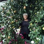  ,   , 67 ,  