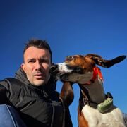 ���������� ������, ���� ������� �����, 36 ���, ������������ ��� ������, ����� � ���������