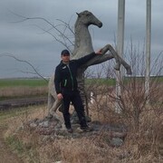 ���������� ���������, ���� ������� �����, 43 ����, ������������ ��� ������, ����� � ���������