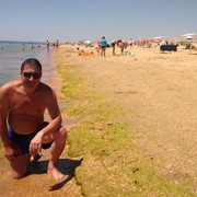  ,   , 53 ,   