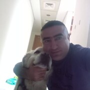  ,   , 41 ,     , c 