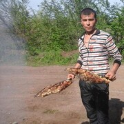  ,   , 35 ,   , 