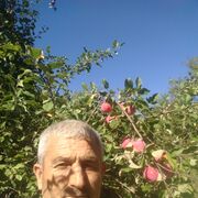  ,   , 56 ,     