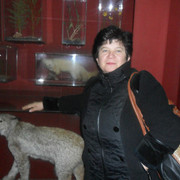 ���������� ������, ���� ������� Aurica, 55 ���, ������������ ��� ������, ����� � ���������, c�������� ���������