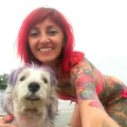 ���������� �����, ���� ������� ����, 43 ����, ������������ ��� c�������� ���������