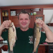  Cassano d'Adda,  , 50